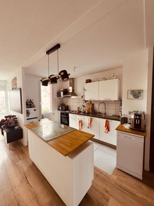 Bel Appartement Proche Mulhouse Pfastatt Exterior foto